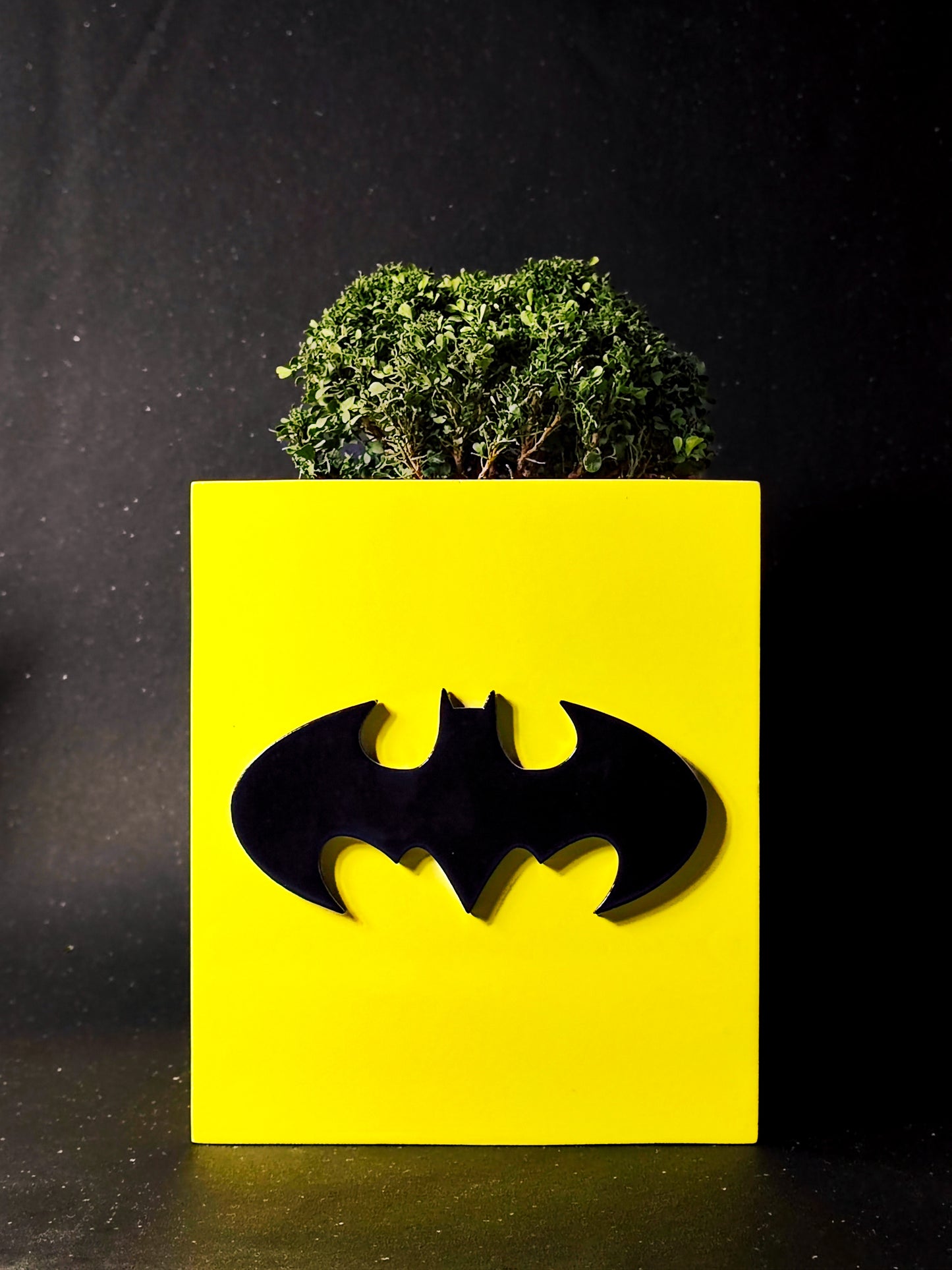 Batman Pot (Wooden)